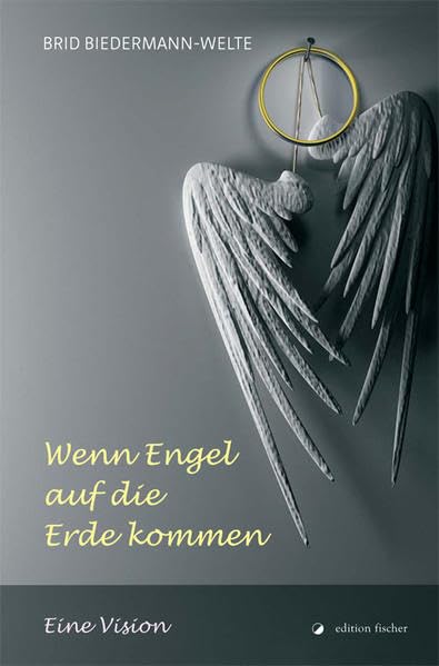 Wenn Engel auf die Erde kommen book