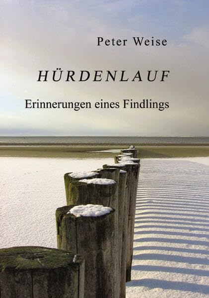 Hürdenlauf: Erinnerungen eines Findlings Contemporary literature