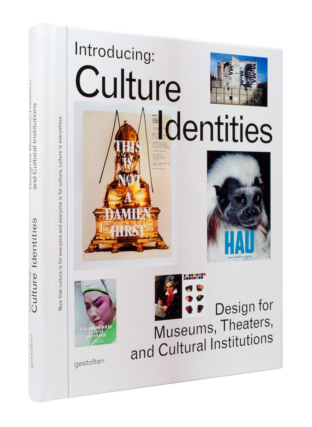 Introducing: Culture Identities: Design for Museums, Theaters and Cultural Institutions Architecture