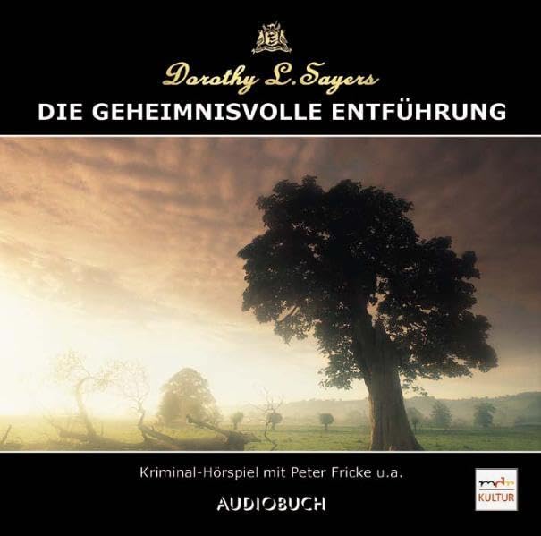 Die geheimnisvolle Entführung (CD) Crime & Thrillers