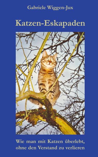 Katzen-Eskapaden Pets
