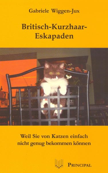 Britisch-Kurzhaar-Eskapaden Pets
