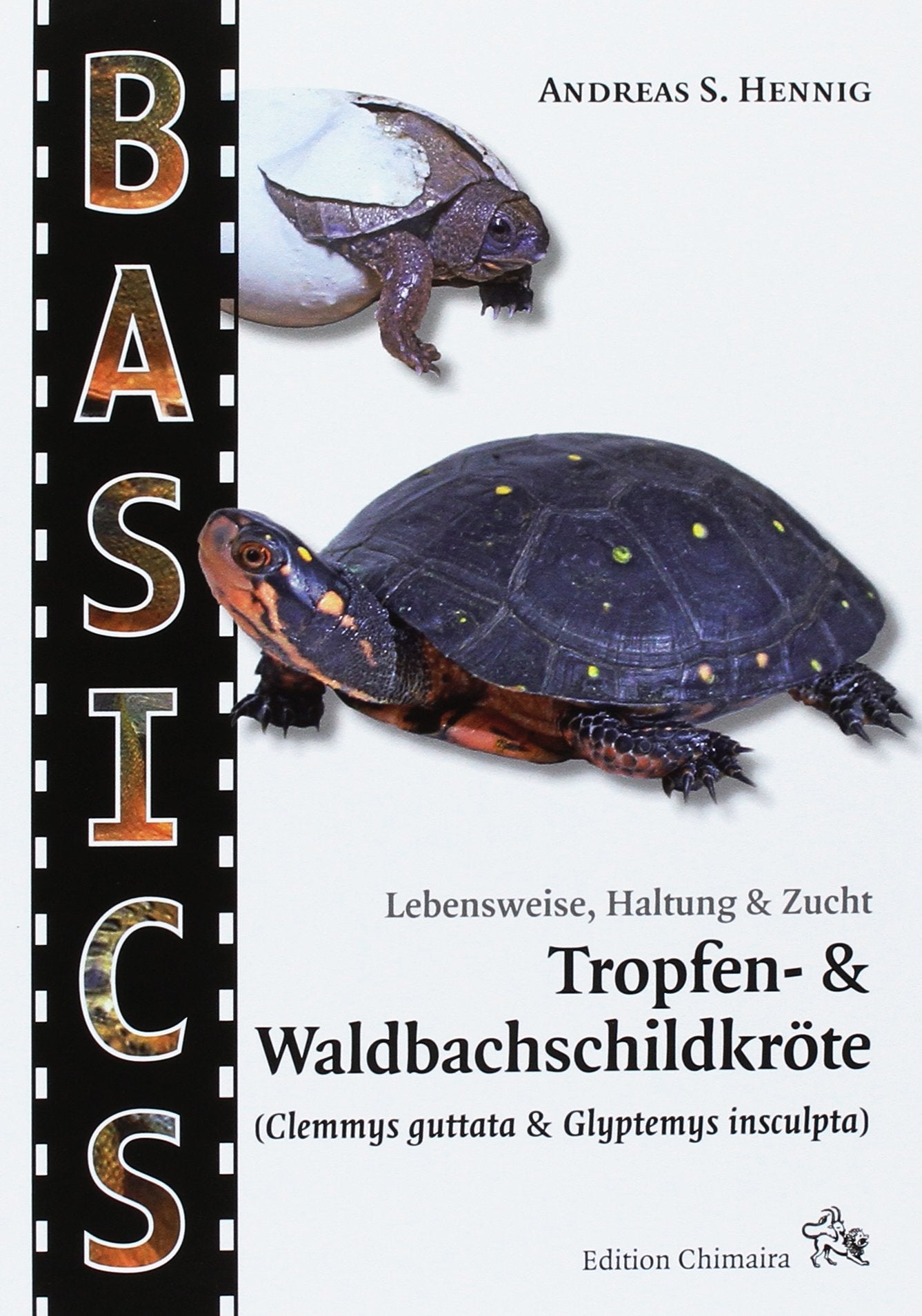 Tropfen- und Waldbachschildkröte: (Clemmys guttata & Glyptemys insculpta). Lebensweise, Haltung & Zucht Natural Sciences