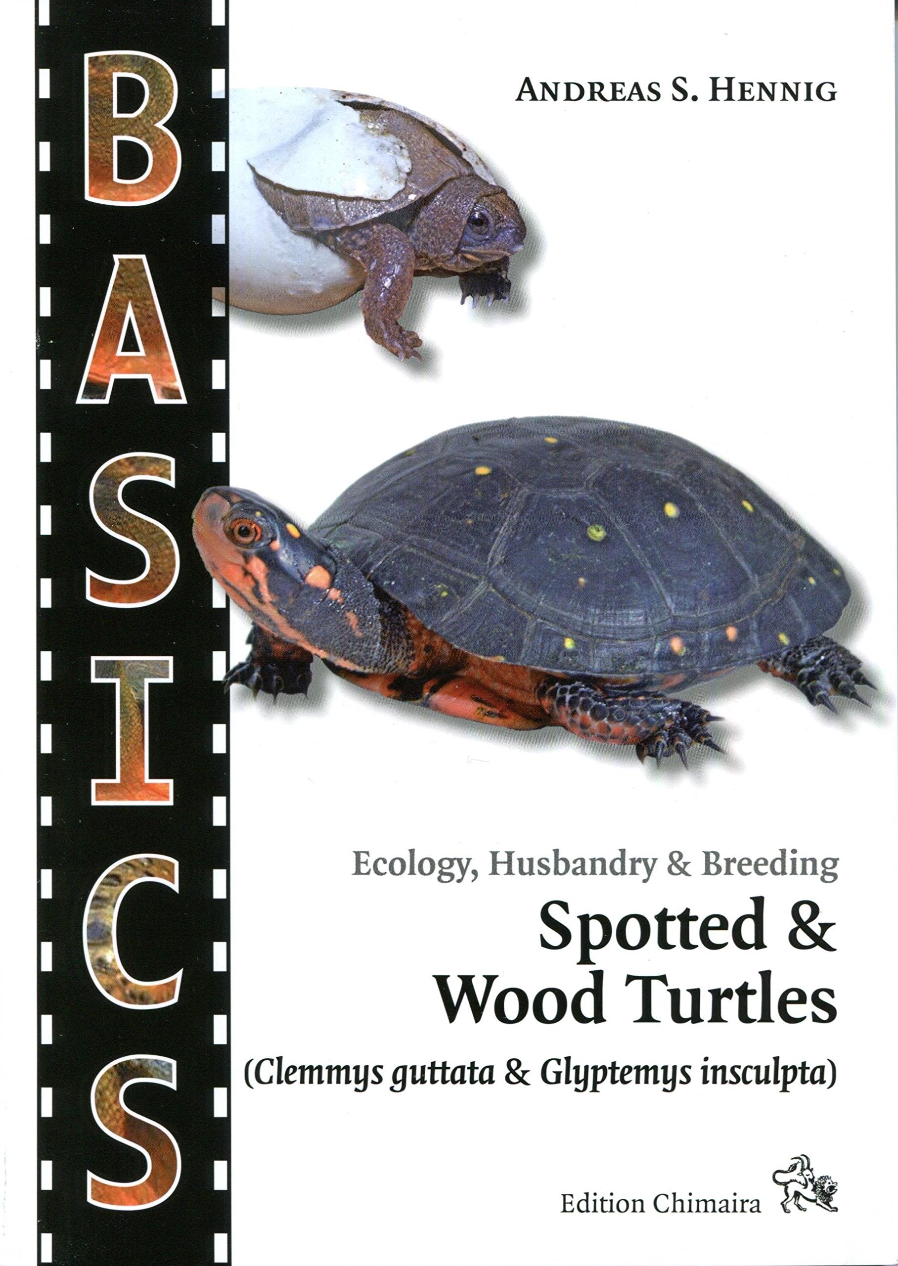 Spotted Turtle and North American Wood Turtle Natural Sciences