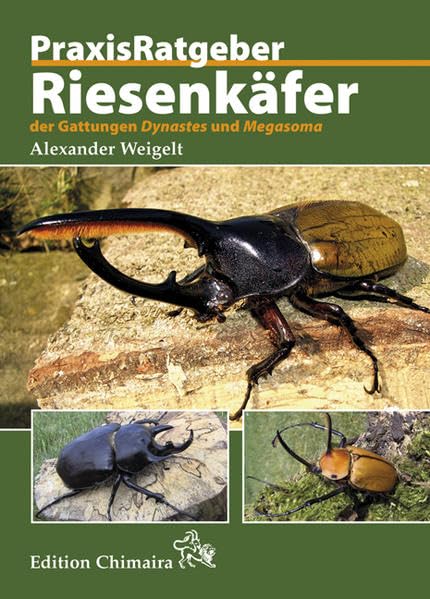 Riesenkäfer der Gattungen Dynastes und Megasoma (Praxis Ratgeber) Pets