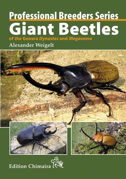 Giant Beetles of the genera Dynastes and Megasoma (Professional Breeders Series) Pets