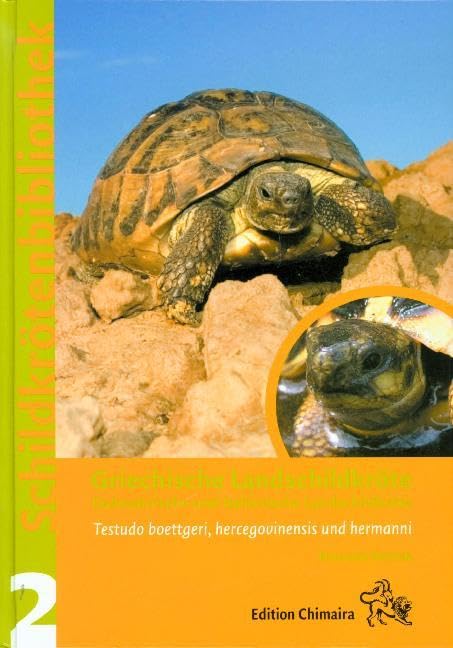 Griechische Landschildkröte (Testudo hermanni): Dalmatinische und italienische Landschildkröte. Testudo boettgeri, hercegovinensis und hermanni. Mit e. Vorw. v. Andreas Nöllert Pets