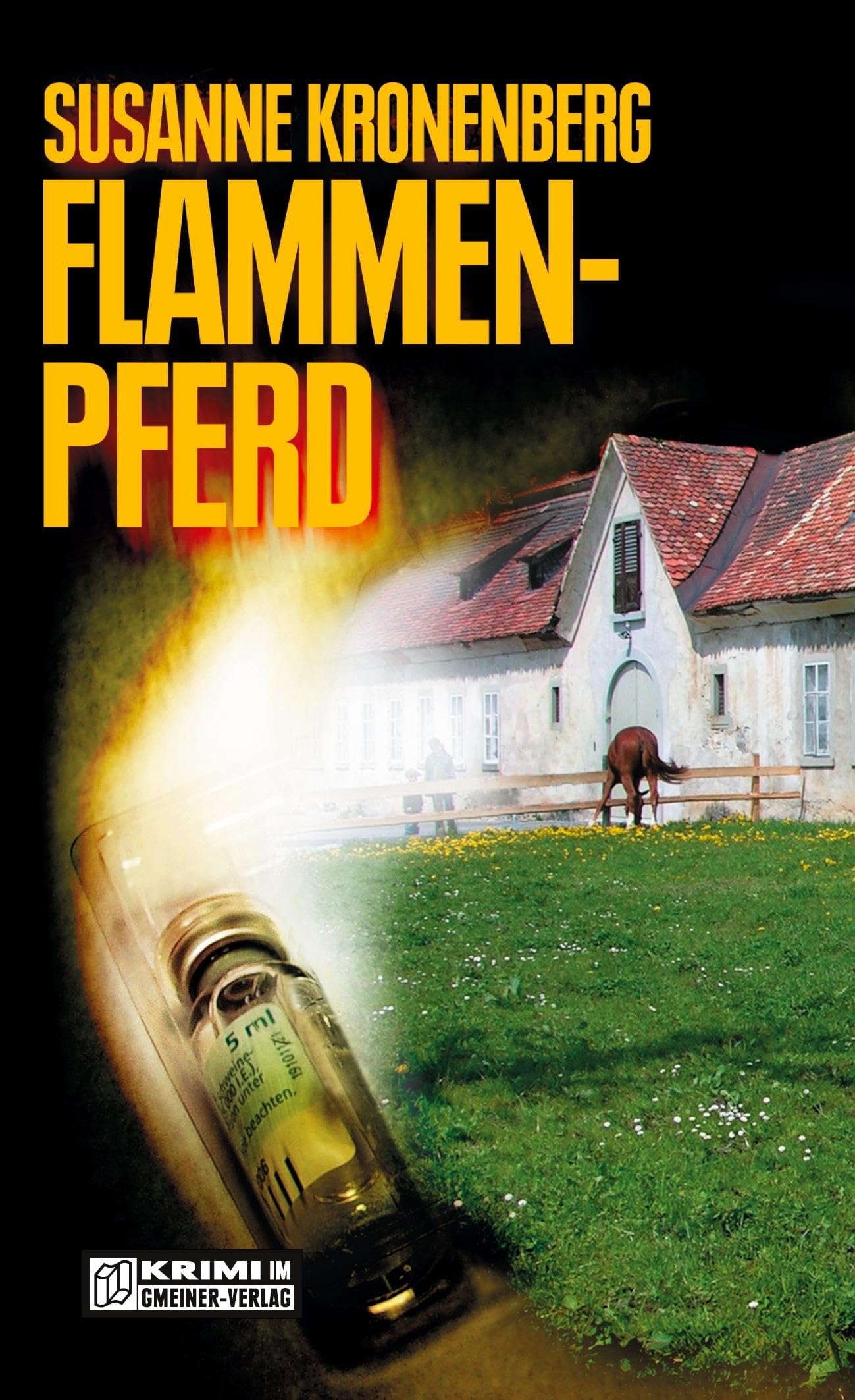 Flammenpferd. Der zweite Hella-Reincke-Krimi Contemporary literature