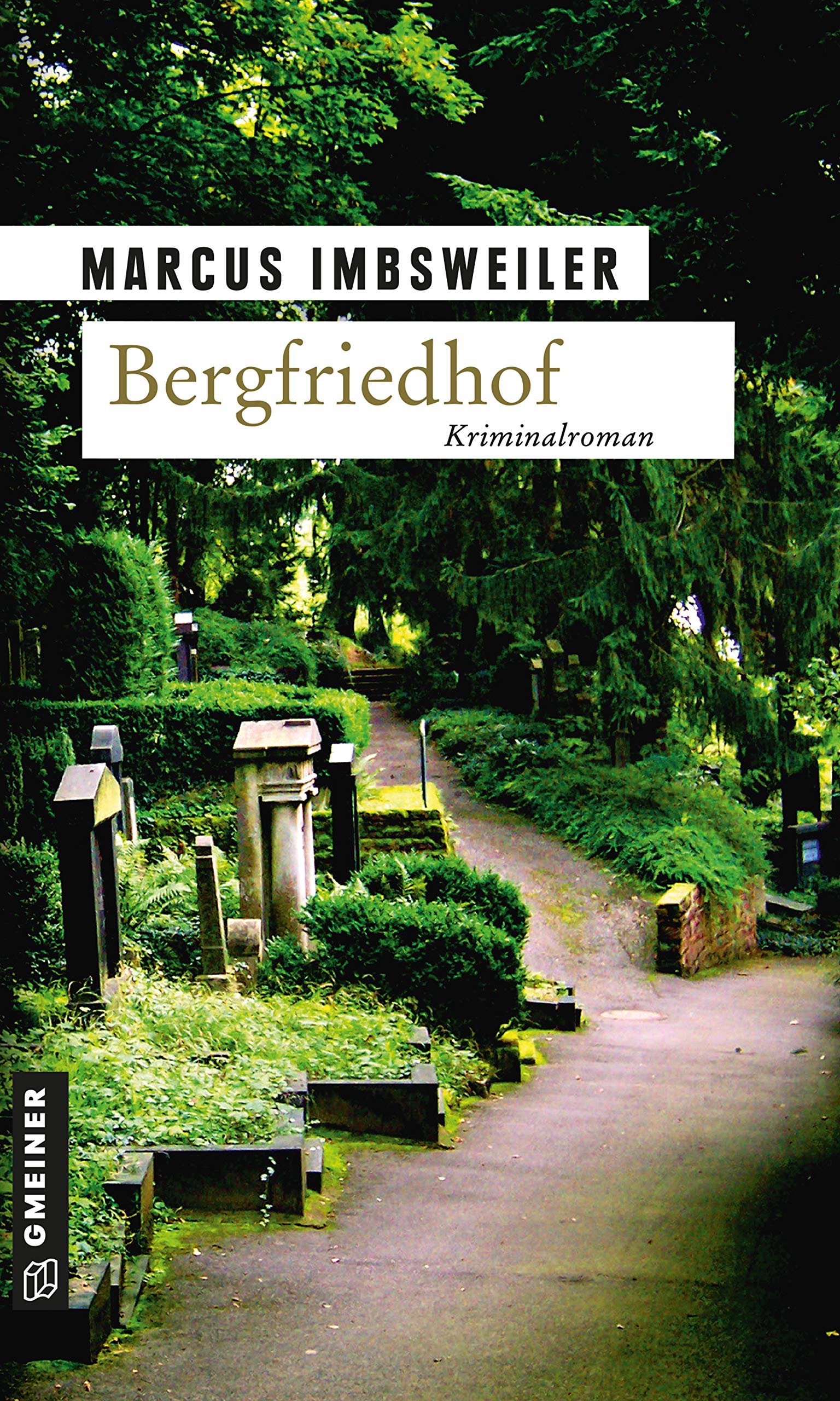 Bergfriedhof Contemporary literature Books