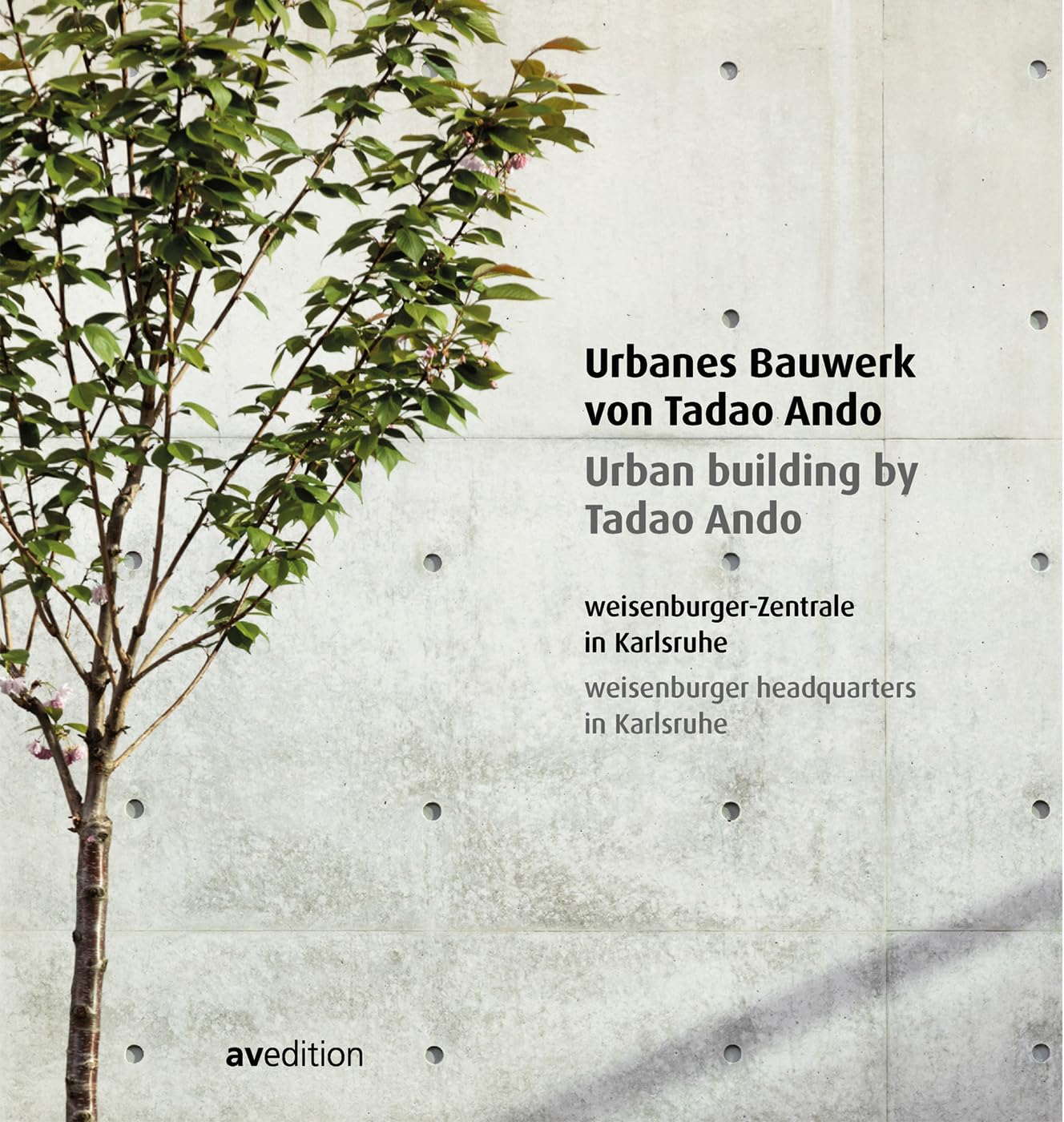 Urban building by Tadao Ando Architecture Books