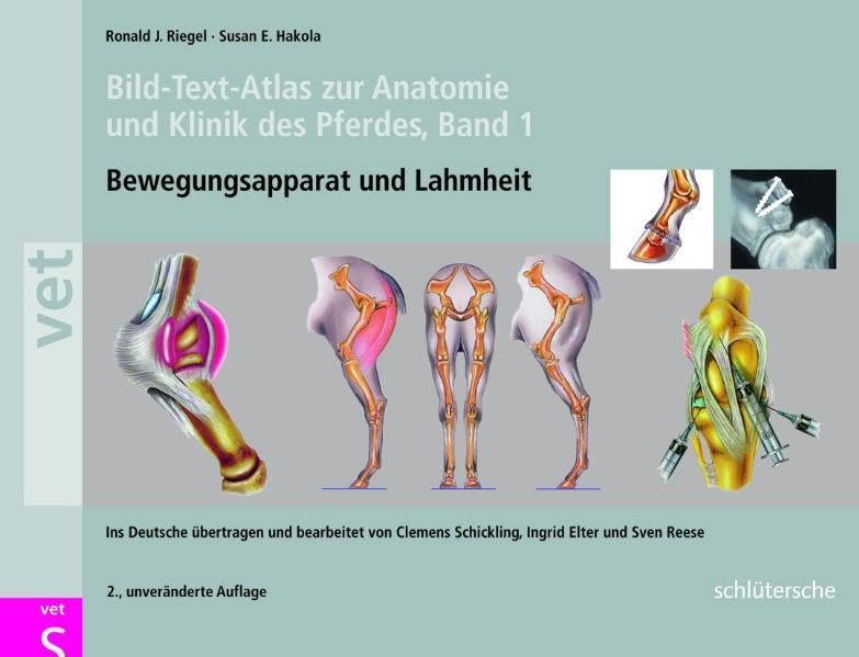 Bild-Text-Atlas zur Anatomie und Klinik des Pferdes Band 1. Bewegungsapparat und Lahmheit (Schlütersche Vet) Medicine