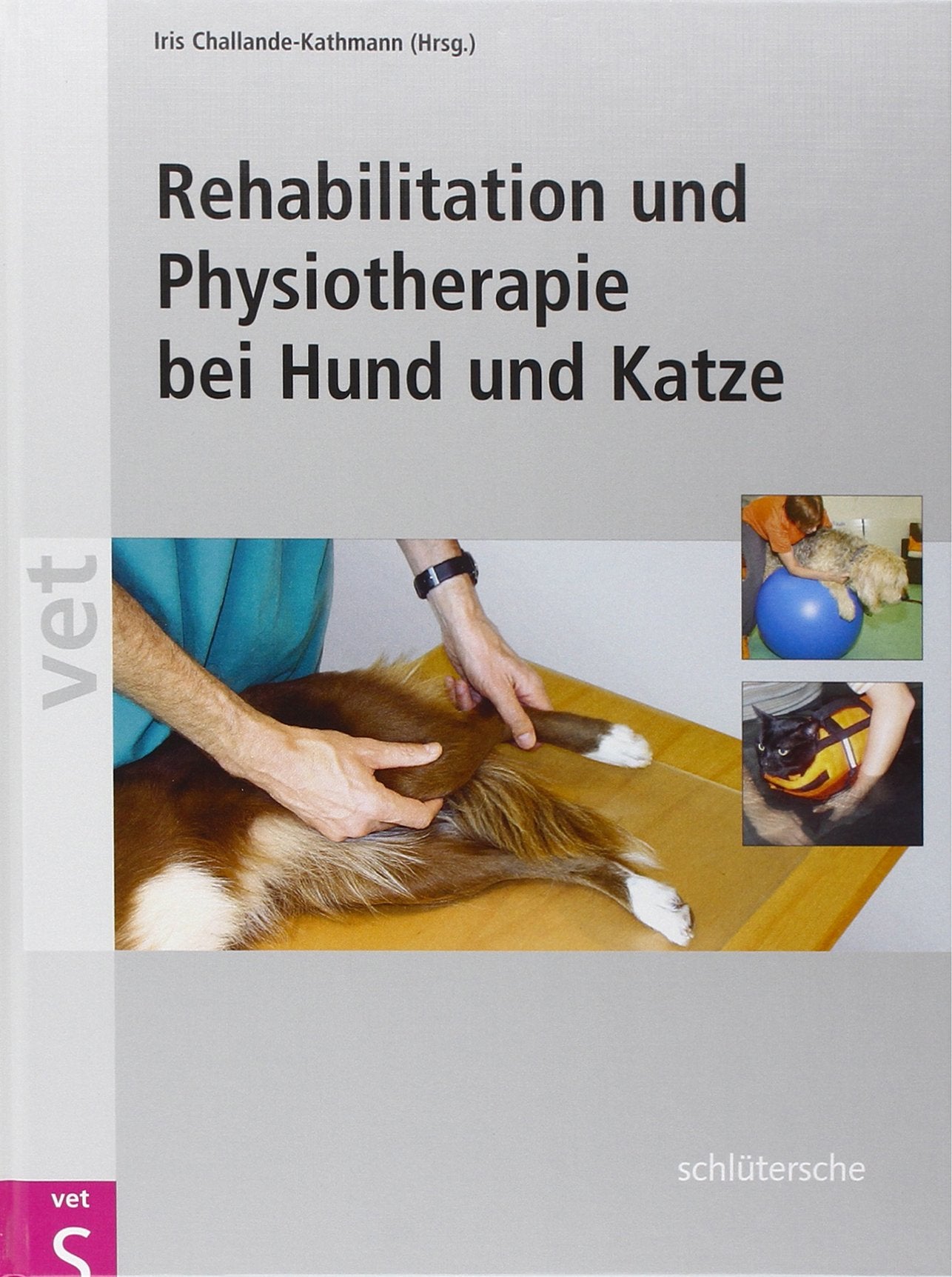 Rehabilitation und Physiotherapie bei Hund und Katze Medicine