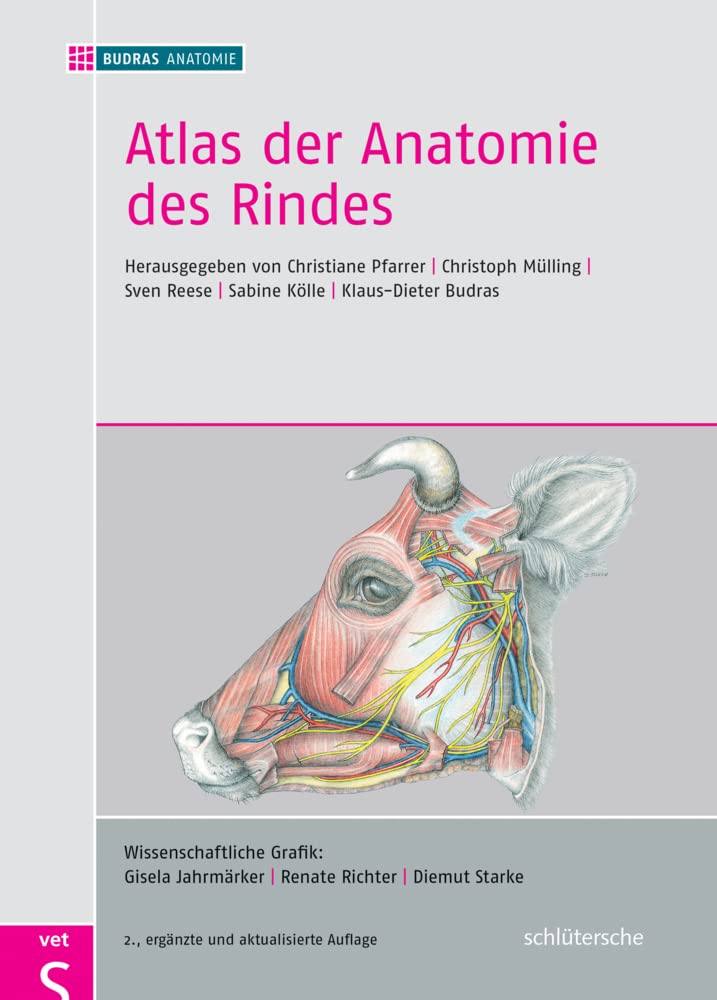 Atlas der Anatomie des Rindes: Inklusive Supplement Medicine