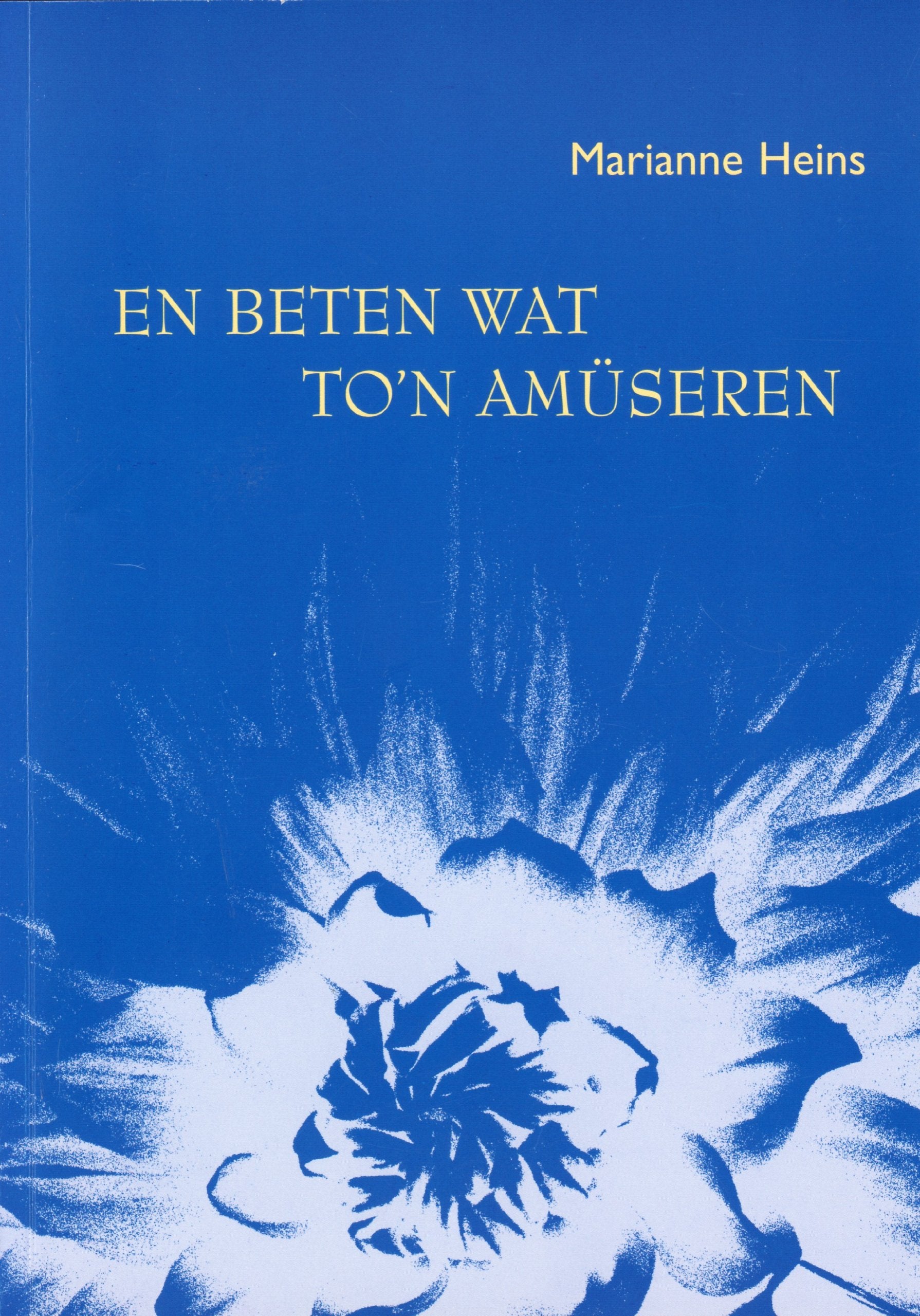 En beten wat to'n Amüseren Contemporary literature