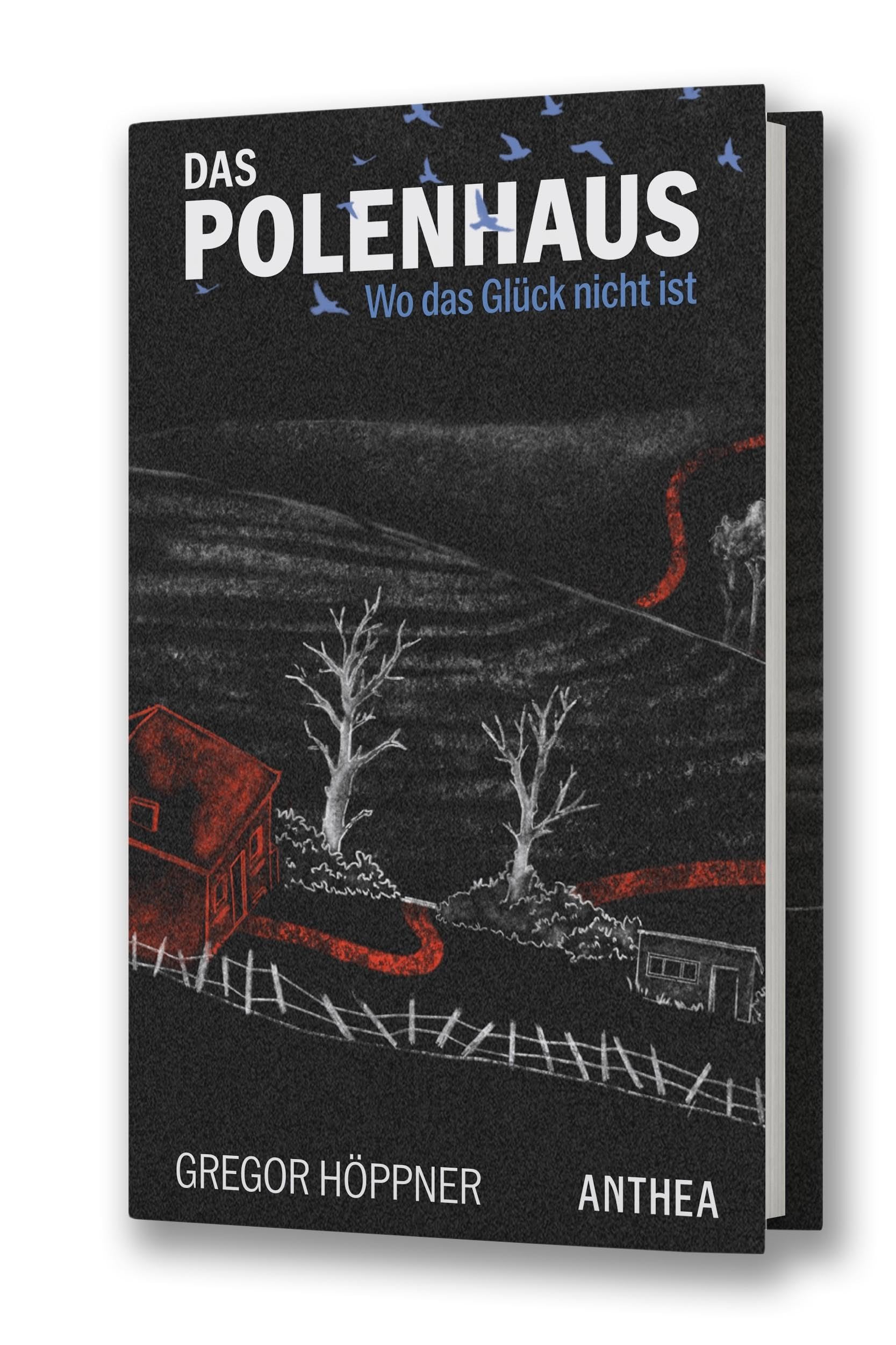Das Polenhaus Contemporary literature Books