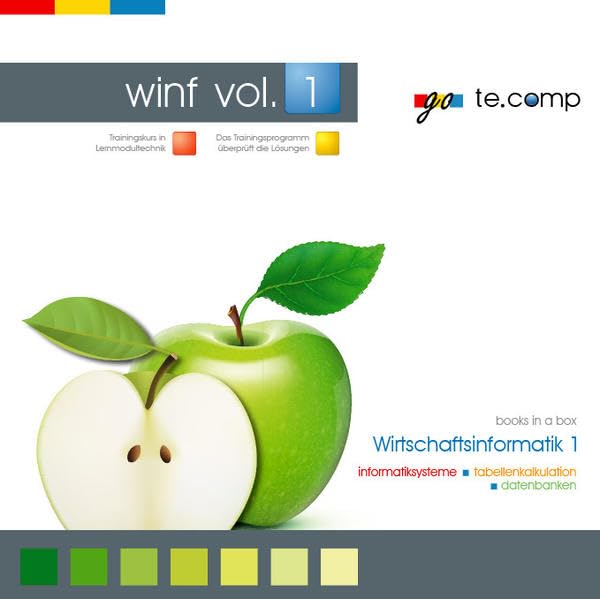 go te.comp - Wirtschaftsinformatik 1 (inkl. Trainingssoftware) - alter Lehrplan: Trainingspaket: Einführung in Windows, Excel und Access book