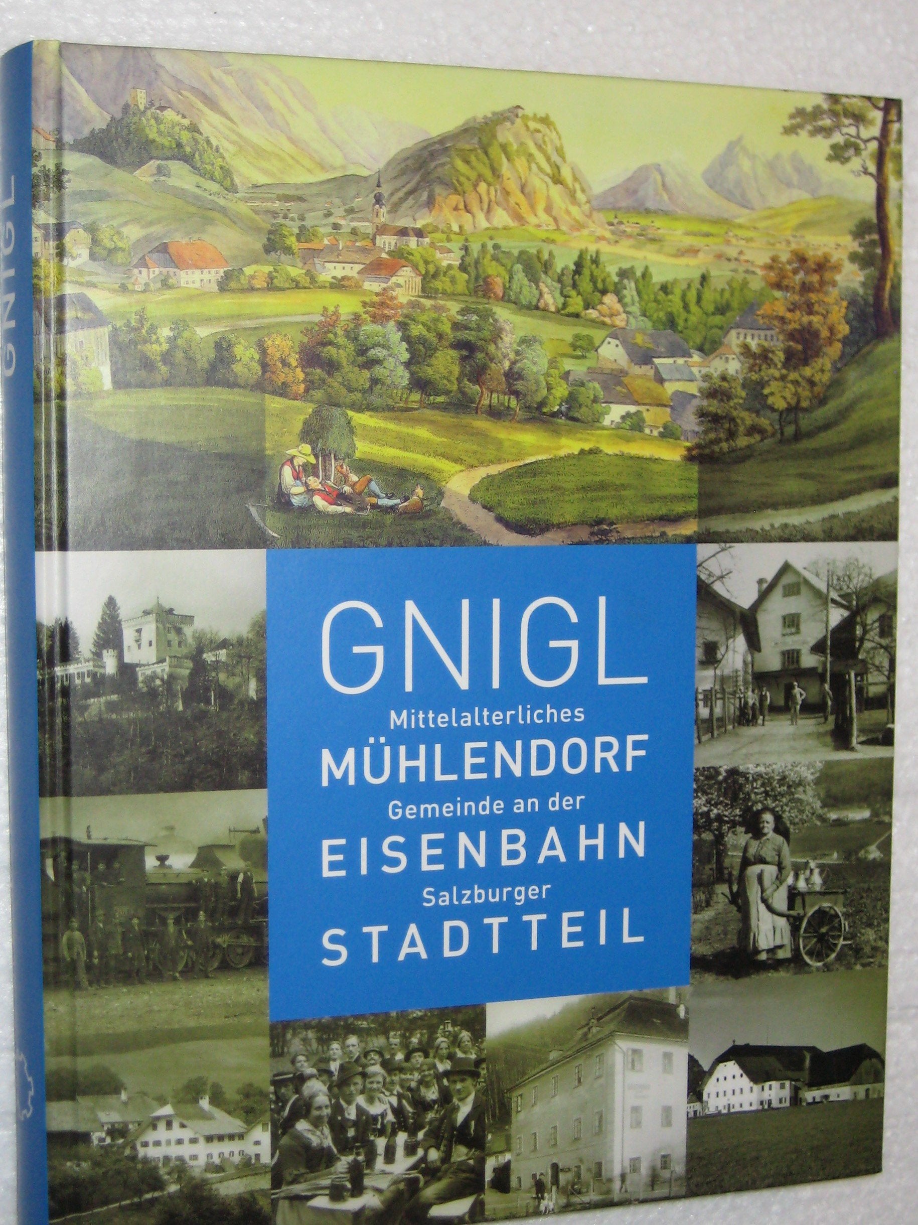 Gnigl: Mittelalterliches Mühlendorf, Gemeinde an der Eisenbahn, Salzburger Stadtteil (Schriftenreihe des Archivs der Stadt Salzburg) Politics & History