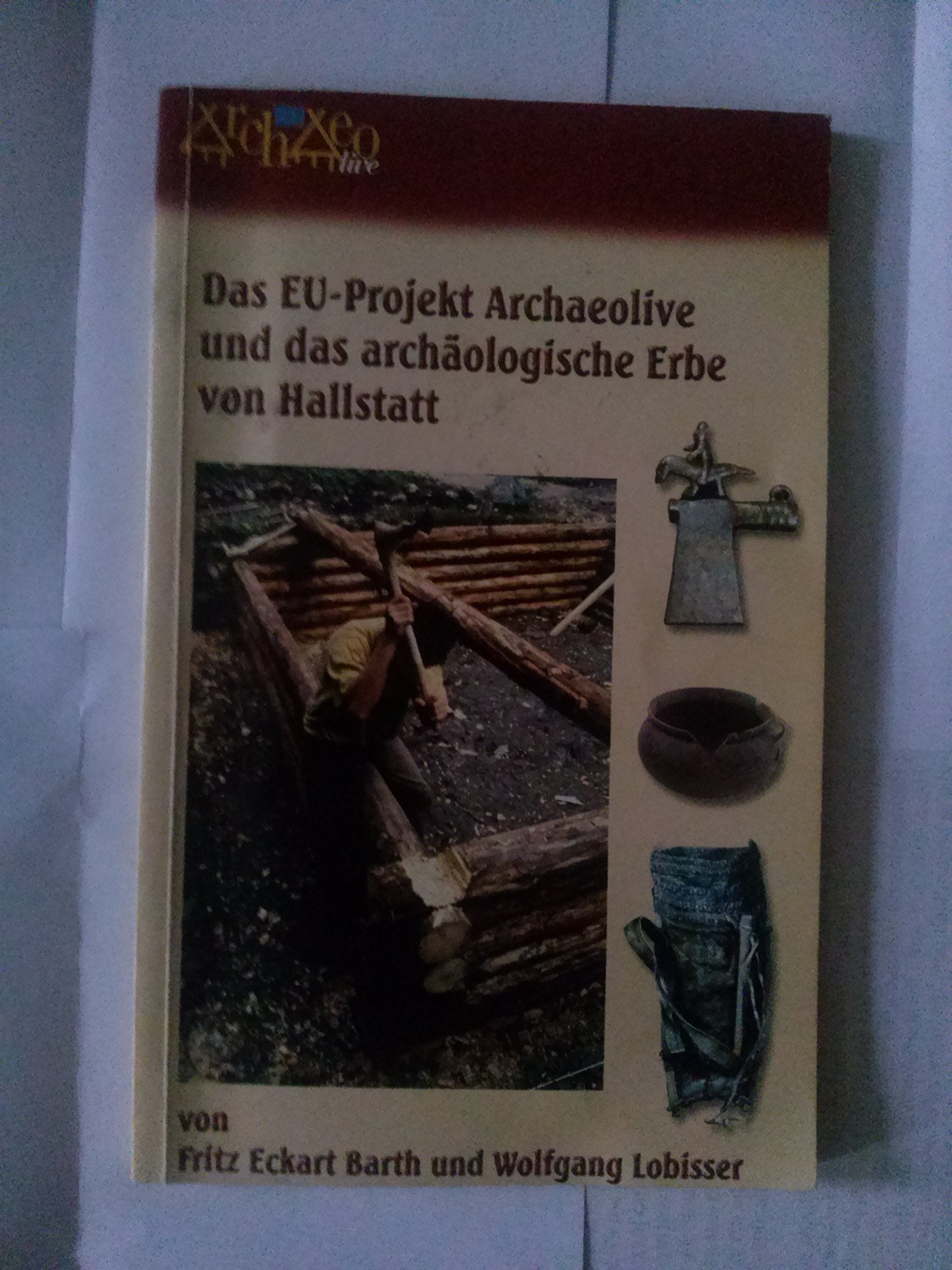 Das EU-Projekt Archaeolive und das archäologische Erbe von Hallstadt. Books