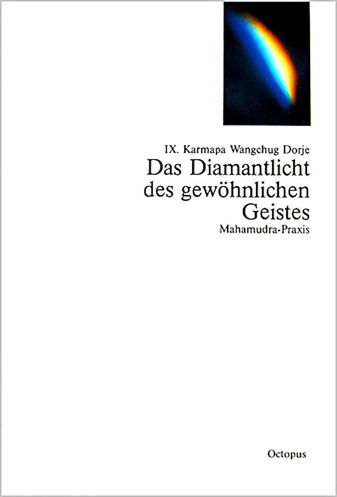 Das Diamantlicht des gewöhnlichen Geistes. Mahamudra-Praxis Philosophy
