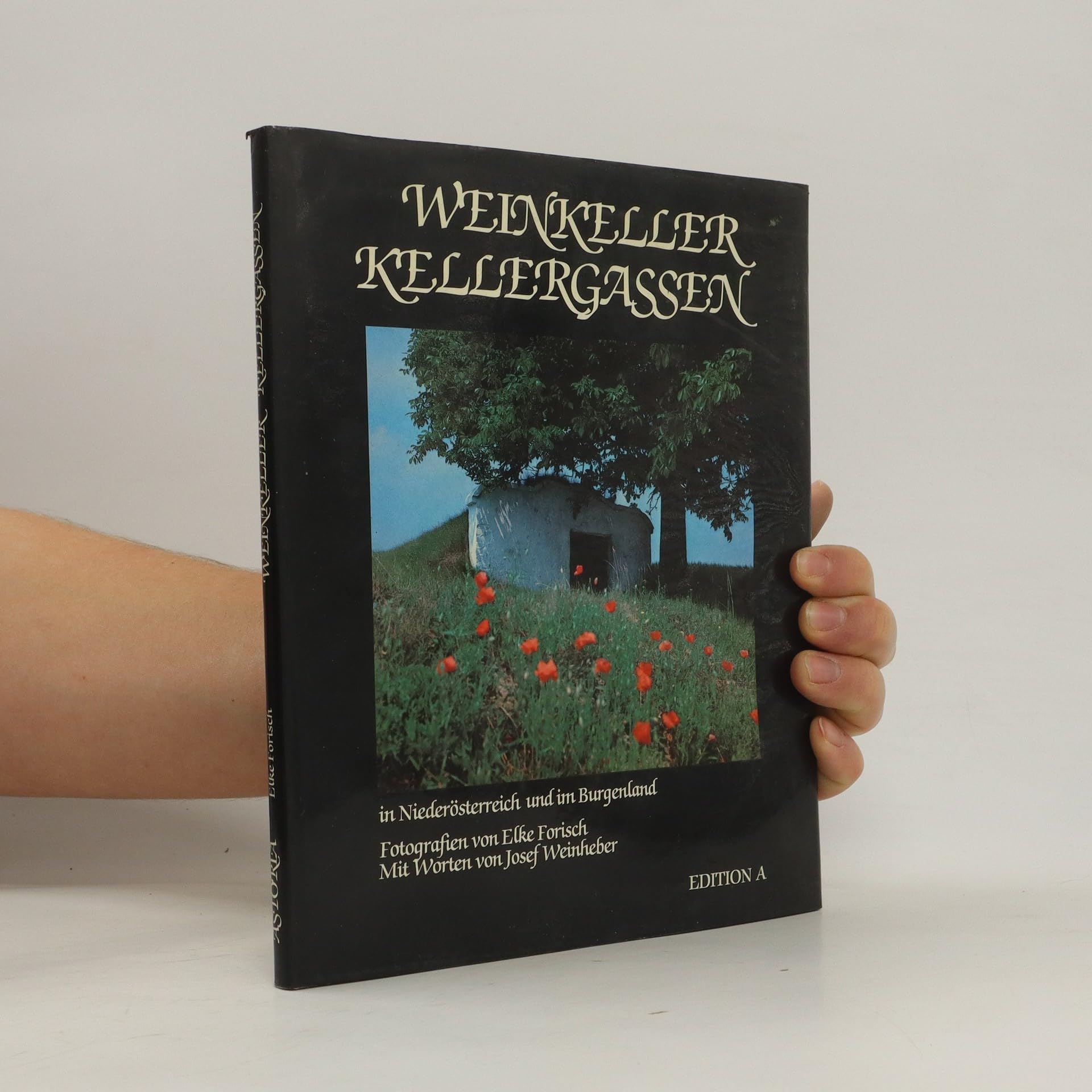 Weinkeller - Kellergassen. Film, Art & Culture