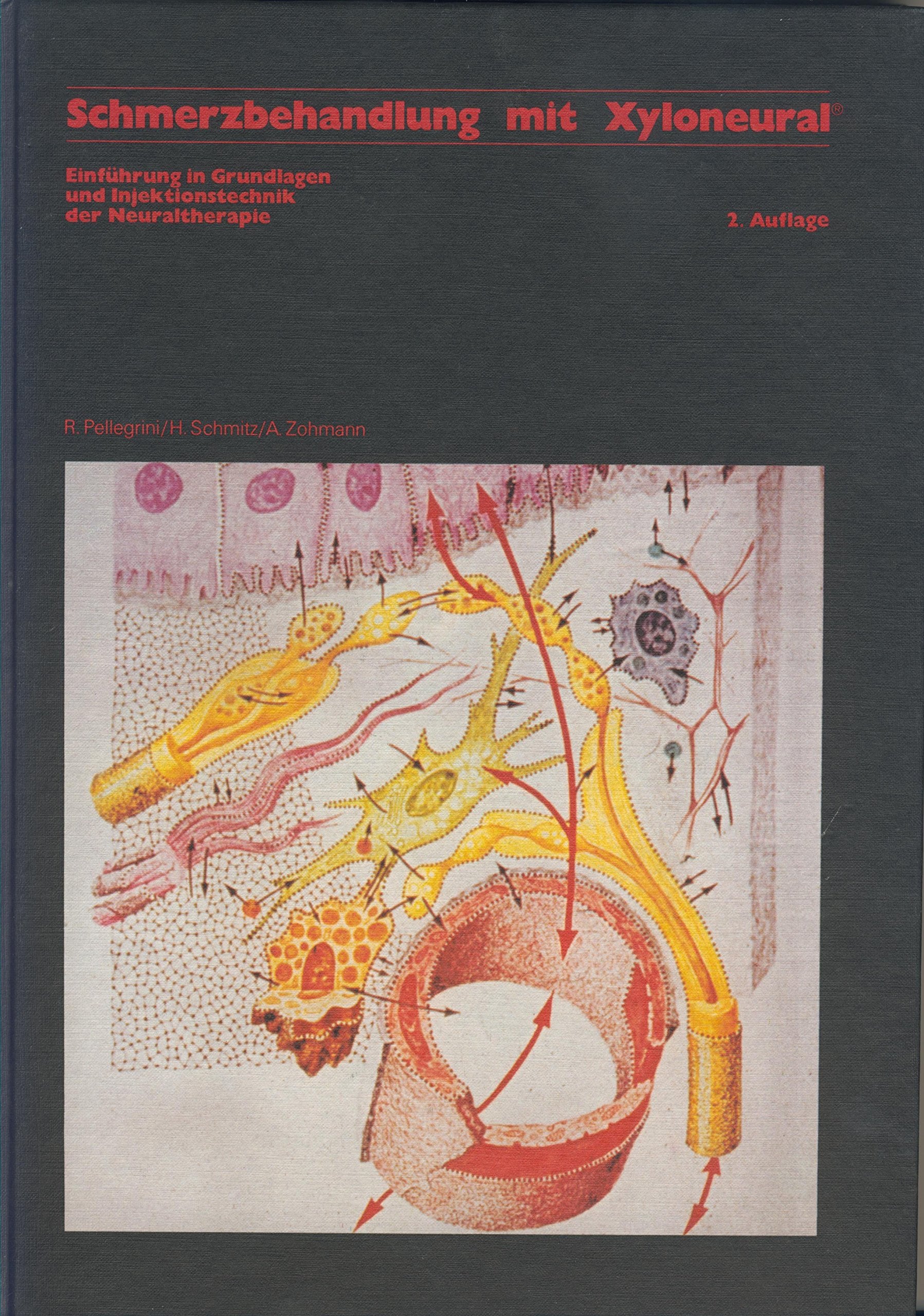 Schmerzbehandlung mit Xyloneural. Einführung in Grundlagen und Injektionstechnik der Neuraltherapie Arts & Music