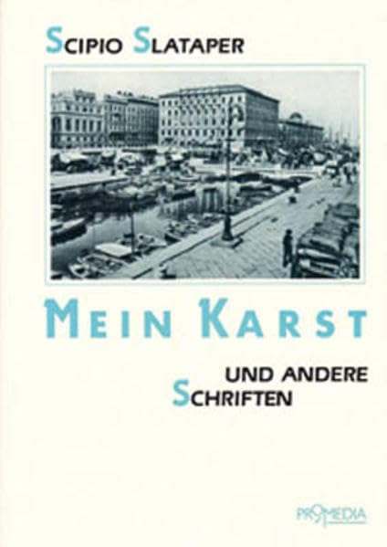 Mein Karst und andere Schriften Contemporary literature