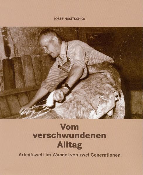 Vom verschwundenen Alltag.: Arbeitswelt im Wandel von zwei Generationen Politics & History