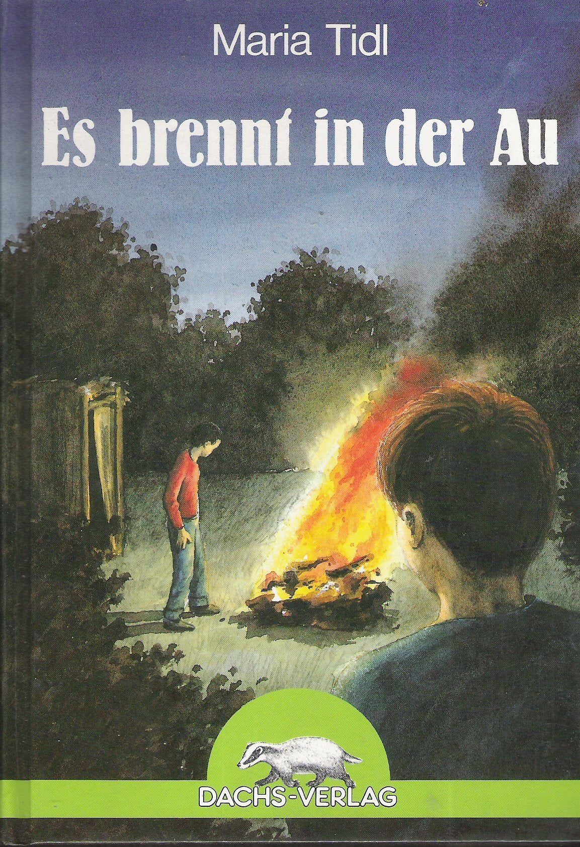 Product Image: Es brennt in der Au. ( Ab 10 J.)