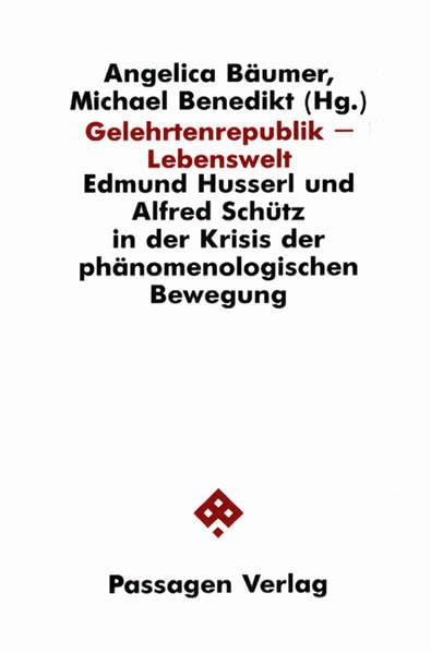 Dialogdenken - Gesellschaftsethik: Wider die allgegenwärtige Gewalt gesellschaftlicher Vereinnahmung (Passagen Philosophie) Philosophy