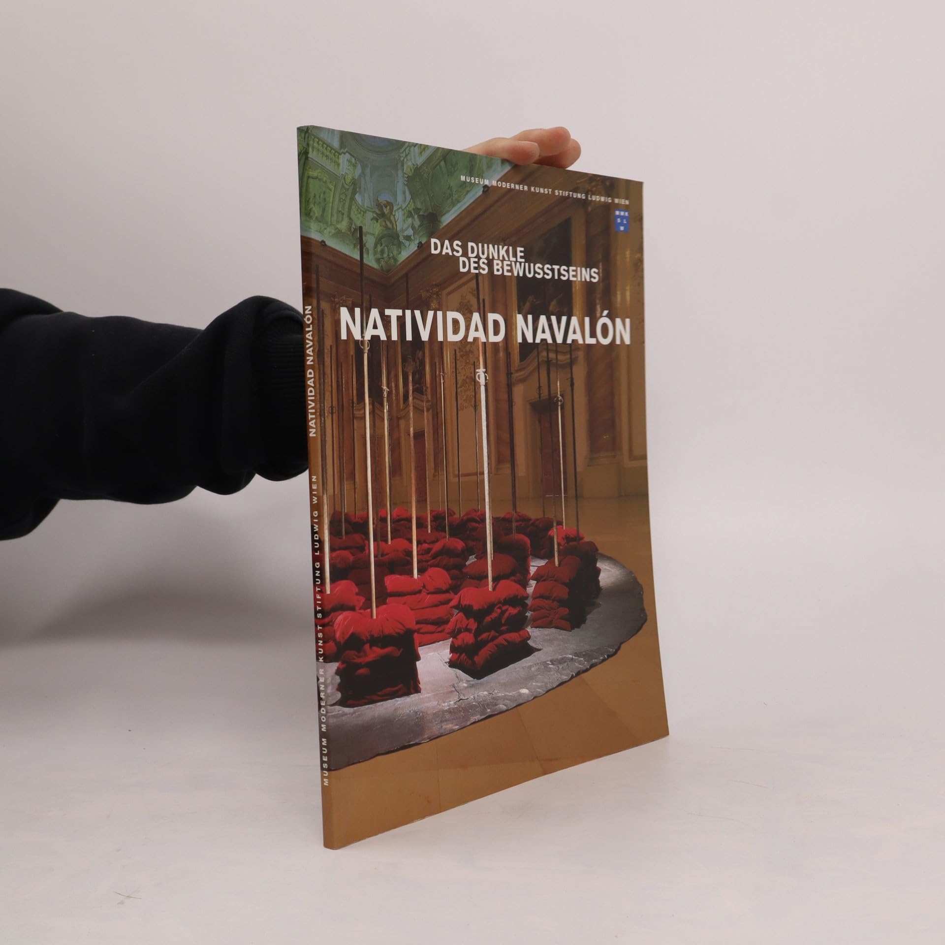 Natividad Navalón: Das Dunkle des Bewusstseins : Museum Moderner Kunst Stiftung Ludwig Wien, Palais Liechtenstein, 23. April-31. Mai 1998 book