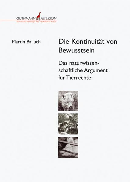 Die Kontinuität von Bewusstsein Philosophy