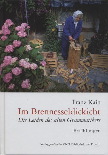 Im Brennesseldickicht: Die Leiden des alten Grammatikers. Erzählungen (Bibliothek der Provinz) - Kain, Franz book