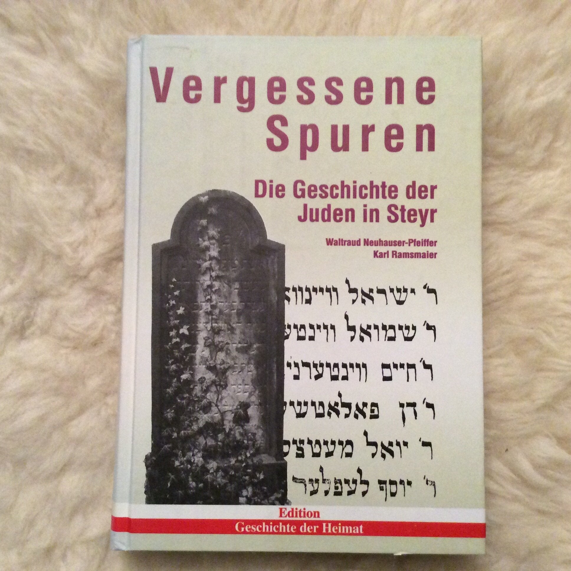 Vergessene Spuren. Die Geschichte der Juden in Steyr Books