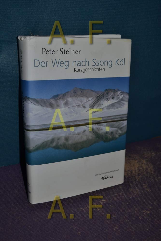 Der Weg nach Ssong Köl: Kurzgeschichten Contemporary literature