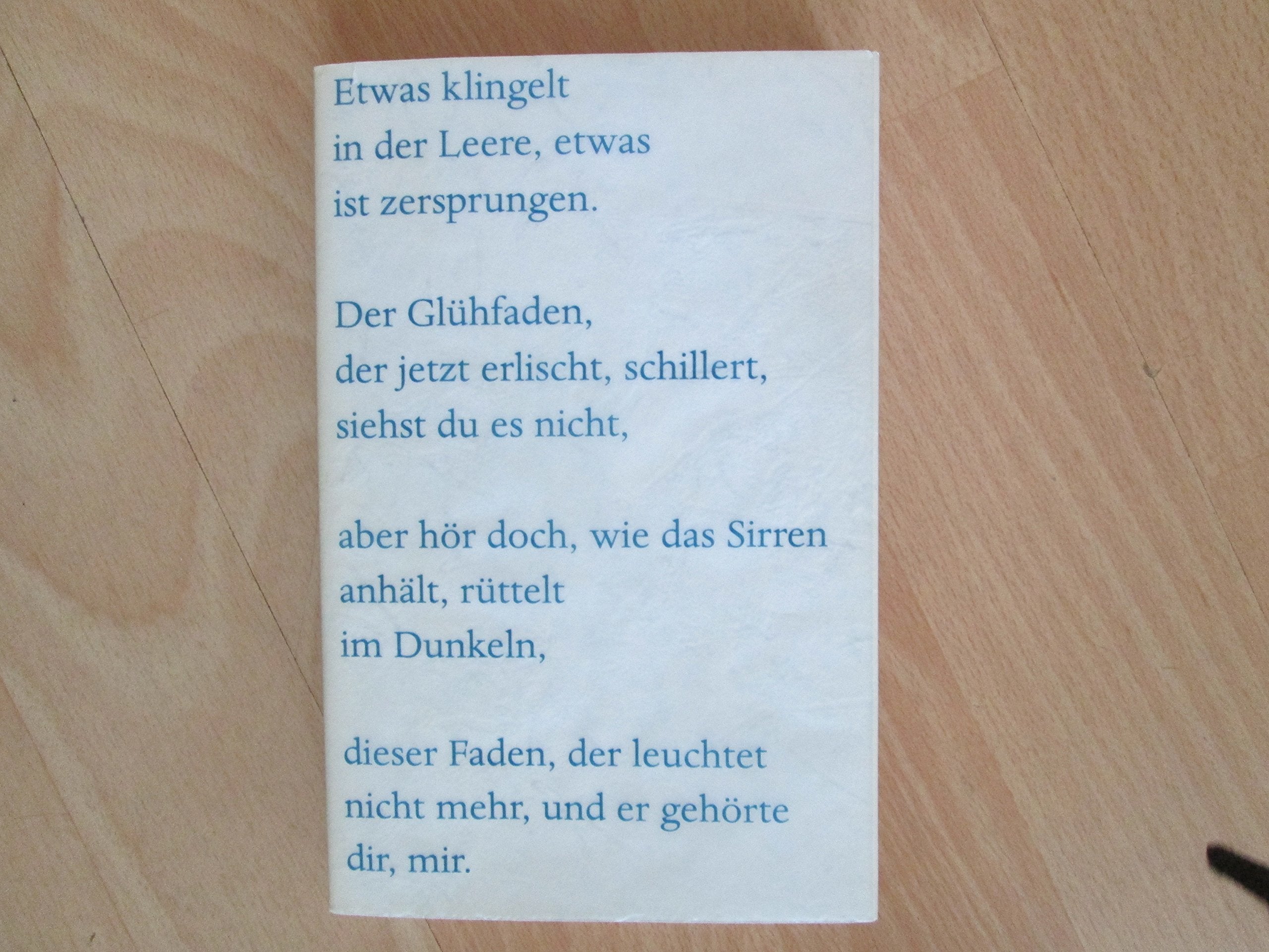Composita Solvantur: Die späten Gedichte (abrasch) Poetry