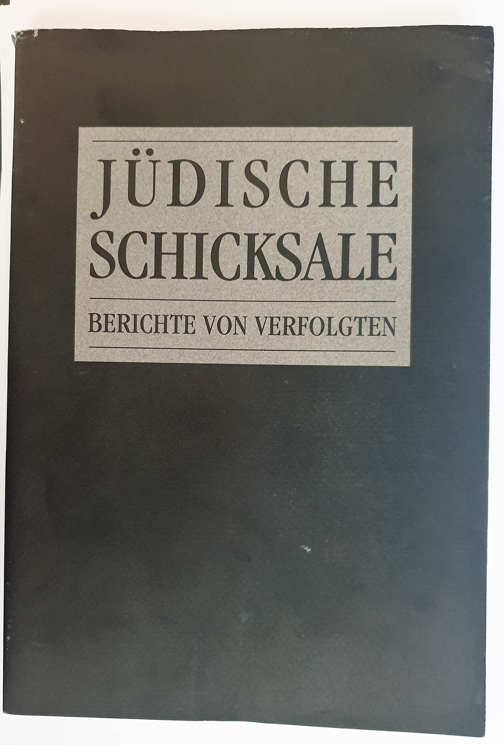 Jüdische Schicksale. Berichte von Verfolgten. Books