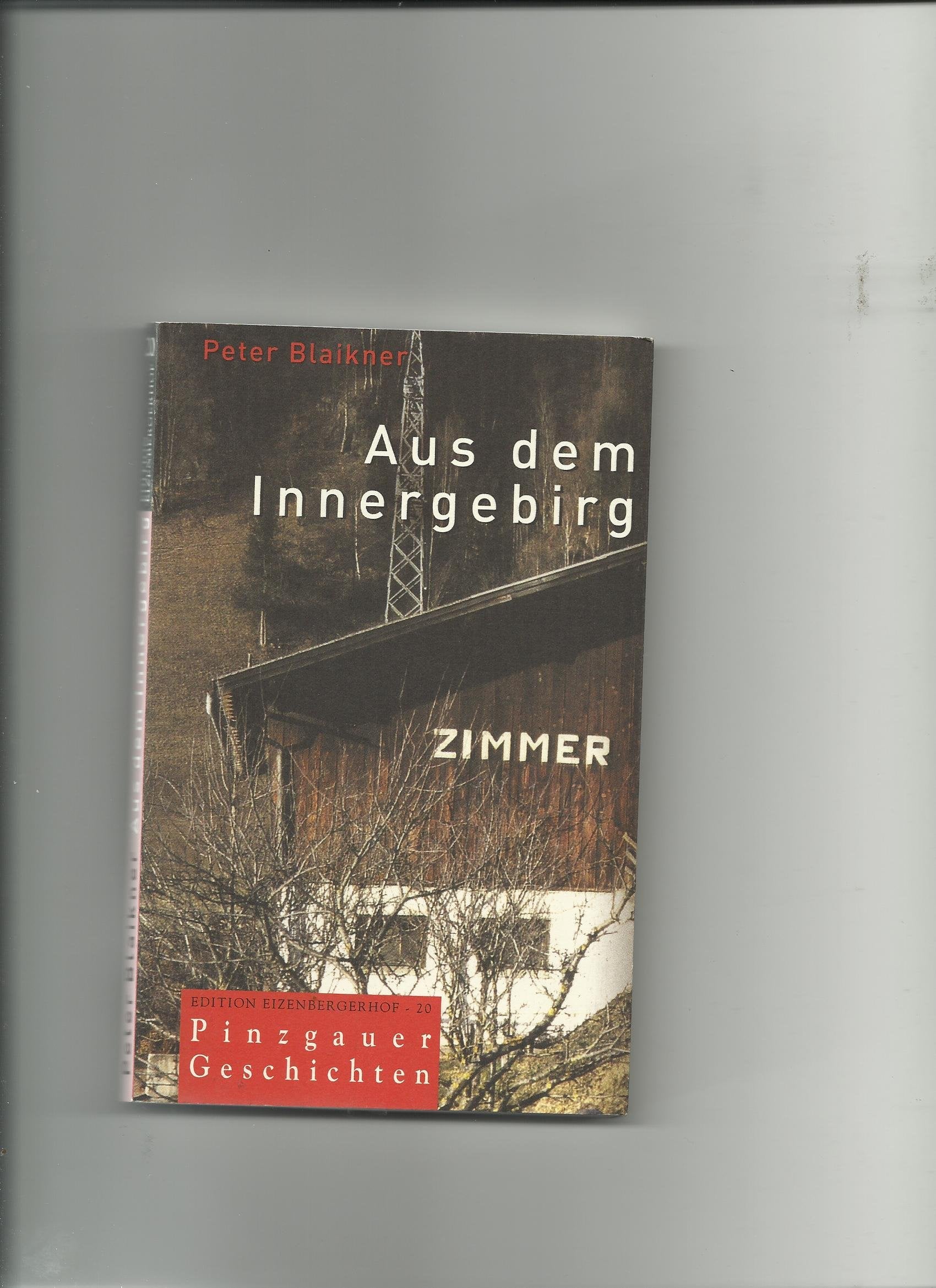 Aus dem Innergebirg: Pinzgauer Geschichten (edition eizenbergerhof) Contemporary literature