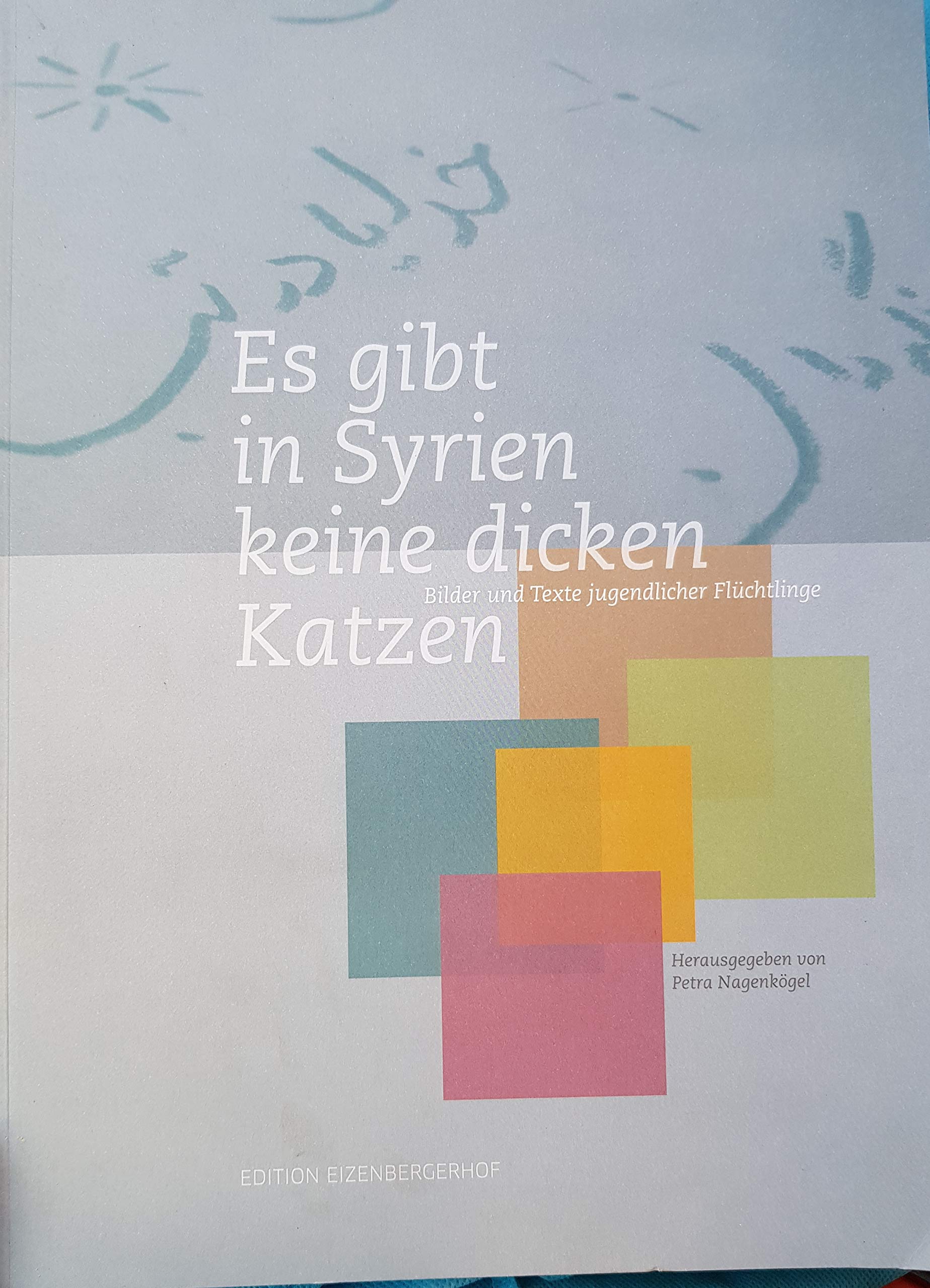 In Syrien gibt es keine dicken Katzen: Bilder und Texte jugendlicher Flüchtlinge (edition eizenbergerhof) Contemporary literature