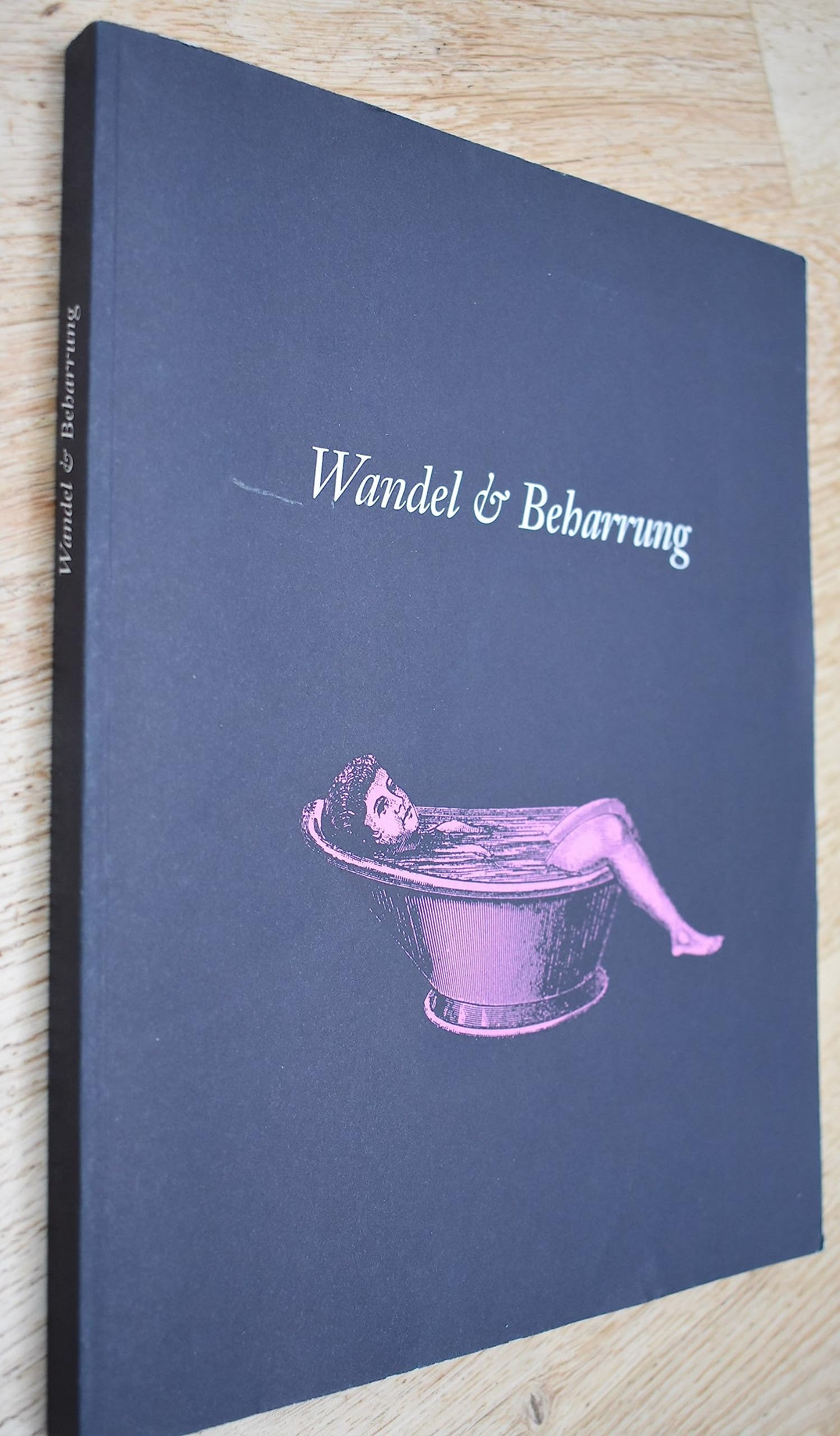 Wandel & Beharrung: Aspekte zum Leben im Zeitalter des Historismus in Österreich Books