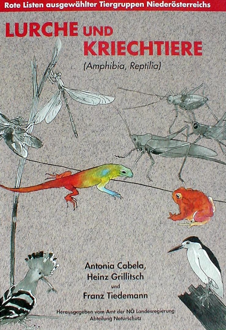 Lurche und Kriechtiere (Amphibia, Reptilia) (Rote Listen ausgewählter Tiergruppen Niederösterreichs) Books