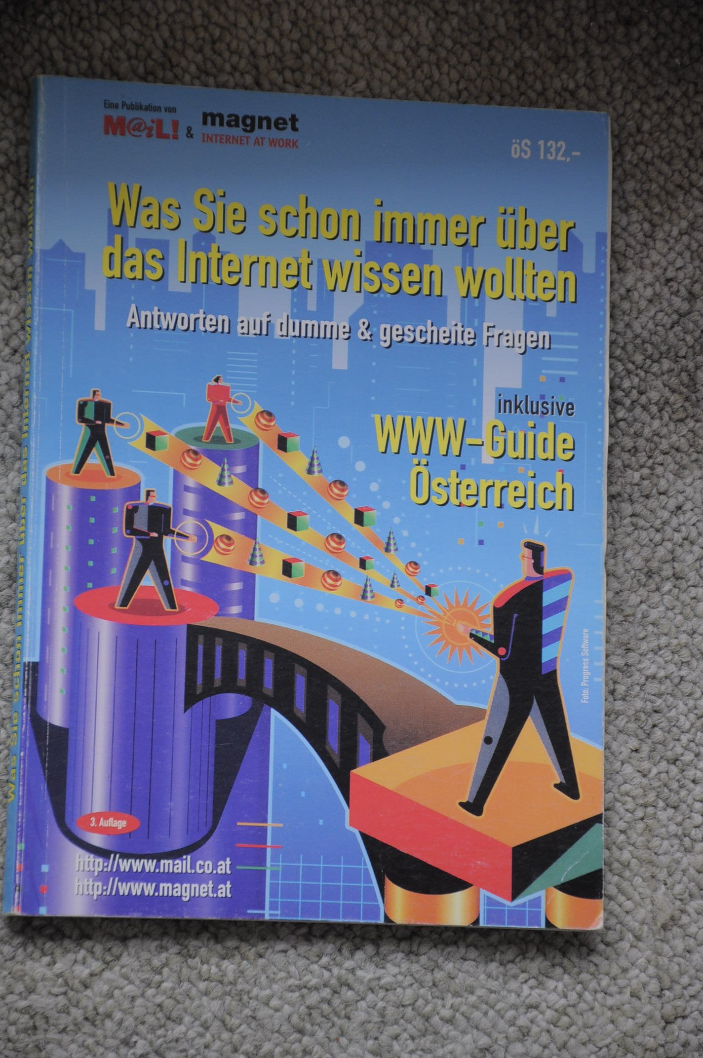 Was Sie schon immer über das Internet wissen wollten, Antworten auf dumme & gescheite Fragen - Klaus Lerch Books