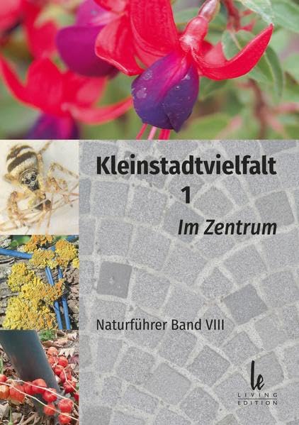 Kleinstadtvielfalt 1: Im Zentrum: 8 book