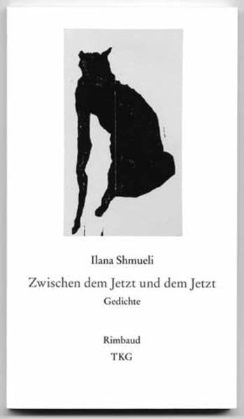 Zwischen dem Jetzt und dem Jetzt: Gedichte Poetry