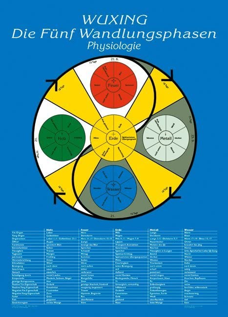 Die Fünf Wandlungsphasen: Physiologie: Lehrtafel in A4 Medicine