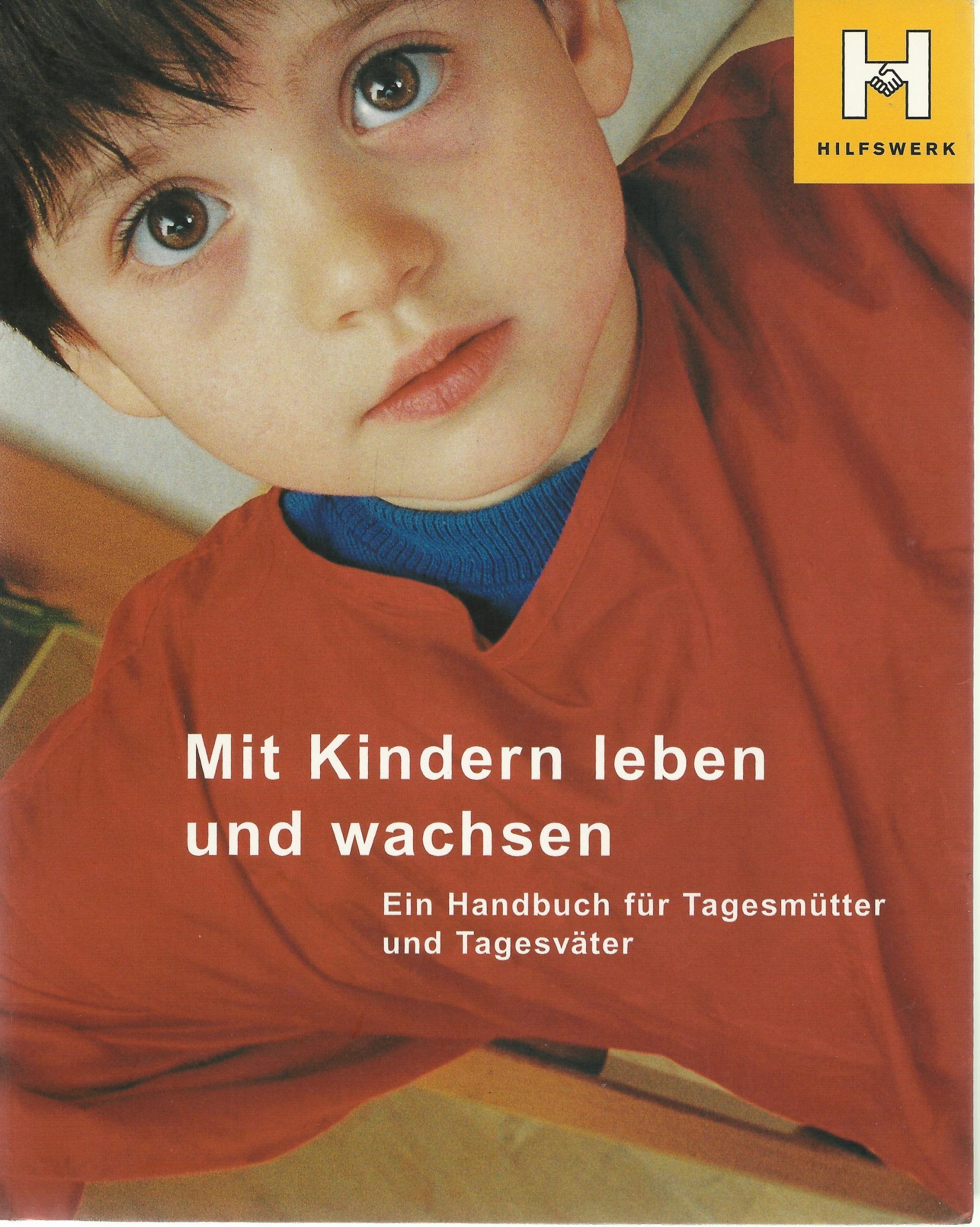 Mit Kindern leben und wachsen. Ein Handbuch für Tagesmütter und Tagesväter Books