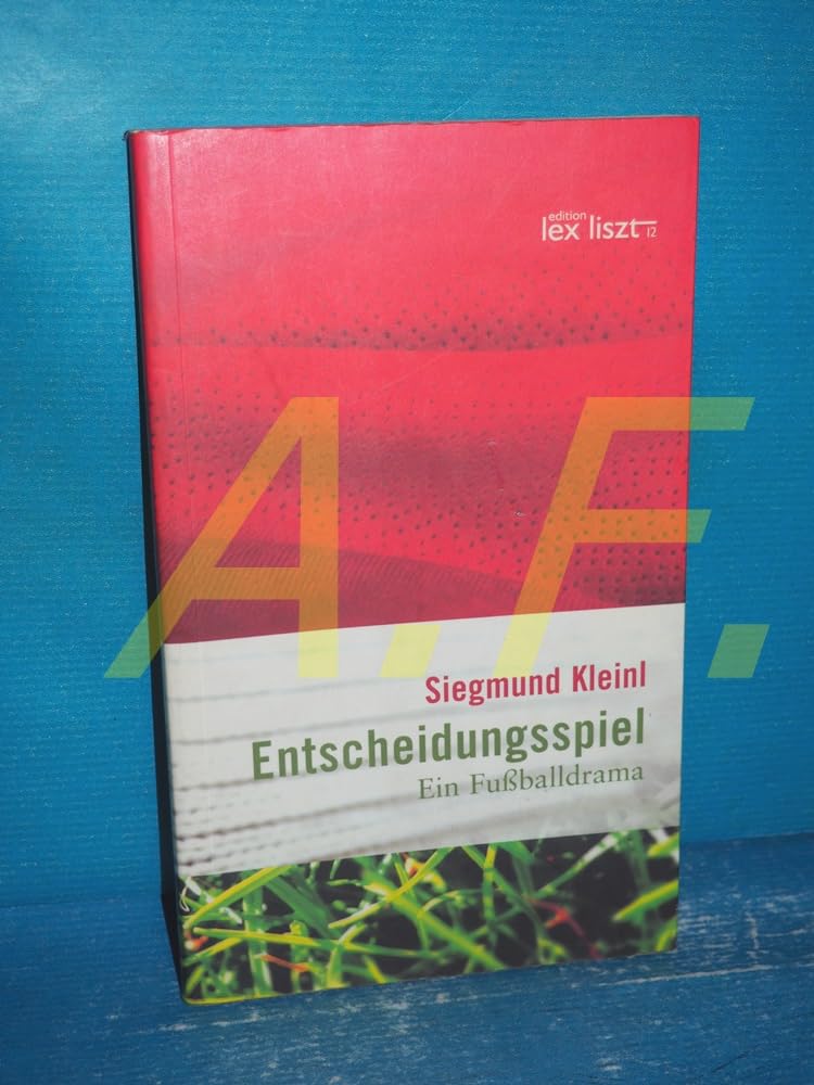 Entscheidungsspiel: Ein Fußballdrama Contemporary literature