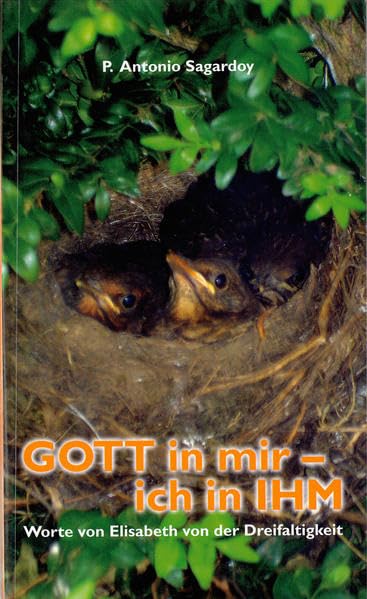 Gott in mir - ich in Ihm book