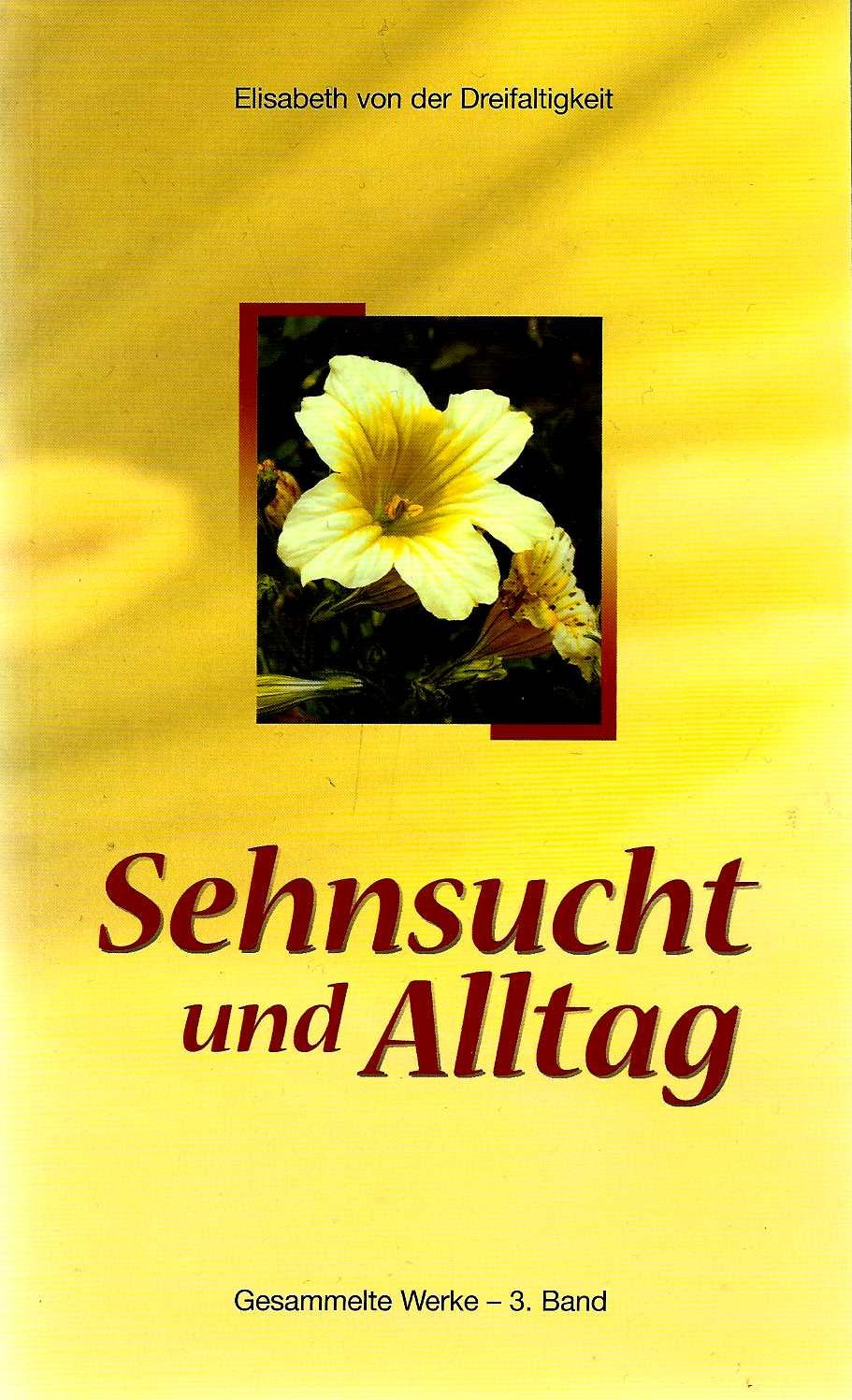 Gesammelte Werke der sel. Elisabeth von der Dreifaltigkeit / Sehnsucht und Alltag: Gesammelte Werke der sel. Elisabeth von der Dreifaltigkeite 3. Band Religion & Esotericism