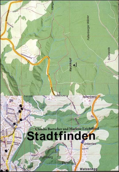 Dornbirner Schriften. Beiträge zur Stadtkunde / Stadtfinden Politics & History