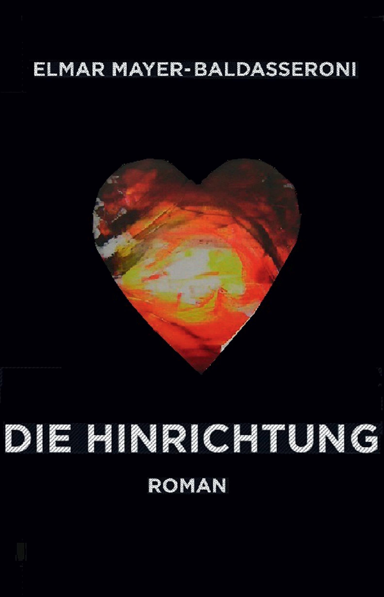Die Hinrichtung: Roman. Contemporary literature